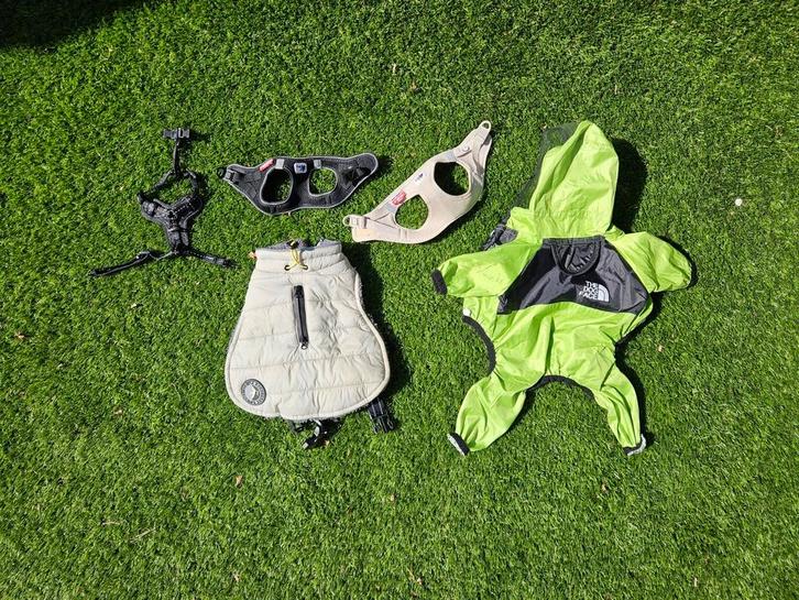 Hondenjassen & tuigjes voor kleine hond (Chihuahua/Pomeriaan, Dieren en Toebehoren, Hondenkleding, Zo goed als nieuw, Ophalen of Verzenden