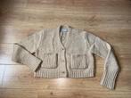 Zara gebreid vest, Maat 38/40 (M), Ophalen of Verzenden, Zo goed als nieuw, Zara