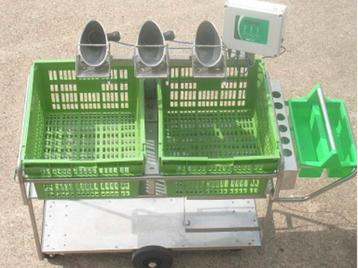 Behandel kar biggen beschikbaar voor biedingen