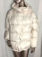 Maura Claudia Strater jas maat 38 ( valt mt 40/42), Ophalen of Verzenden, Zo goed als nieuw, Maat 38/40 (M)