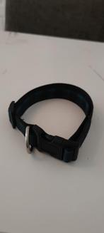 Hondenhalsband, Ophalen of Verzenden, Zo goed als nieuw