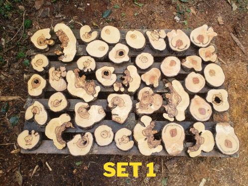 Olijfhout dikte ca. 3 cm, Doe-het-zelf en Verbouw, Hout en Planken, Zo goed als nieuw, Overige houtsoorten, Minder dan 200 cm
