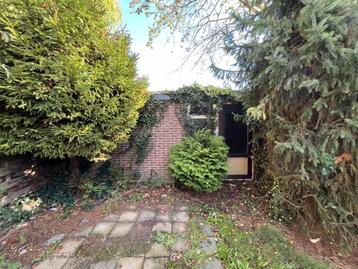 Struik - gratis op te halen beschikbaar voor biedingen