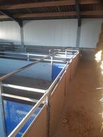 Hokinrichting schaap, geit, kalveren , varkens, Meerdere dieren, Schaap