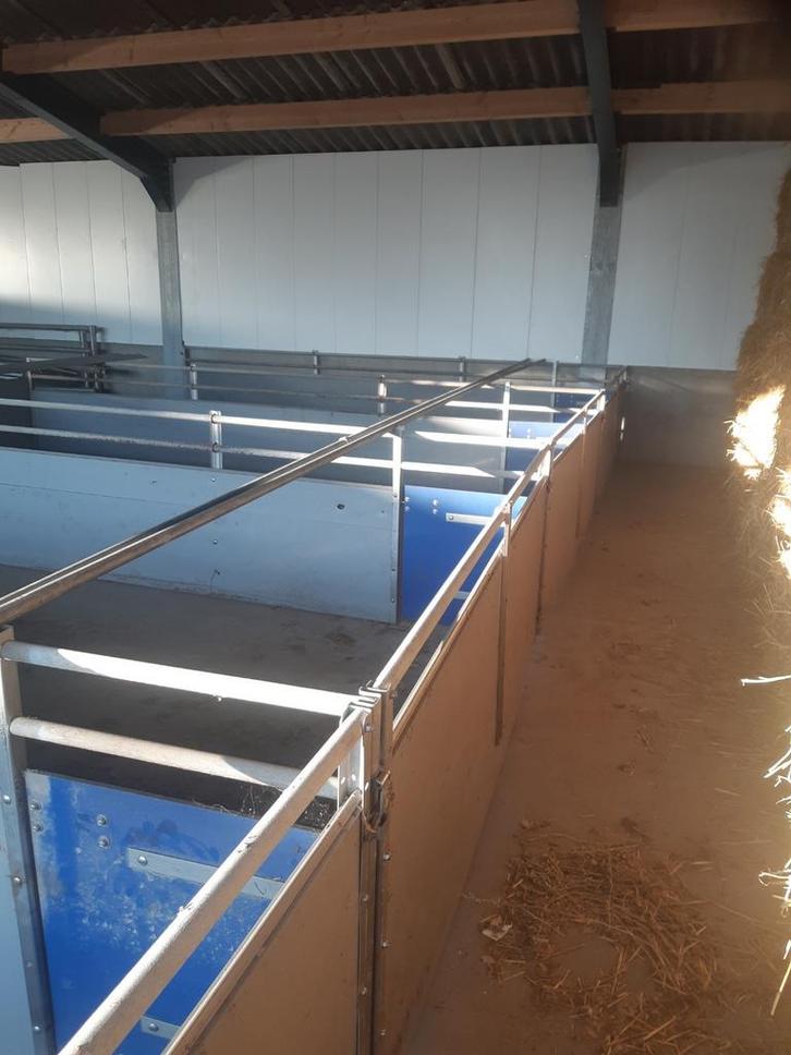 Hokinrichting schaap, geit, kalveren , varkens, Dieren en Toebehoren, Schapen, Geiten en Varkens, Schaap, Meerdere dieren