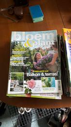Tijdschrift: Bloem en plant, Boeken, Tijdschriften en Kranten, Ophalen of Verzenden, Gelezen