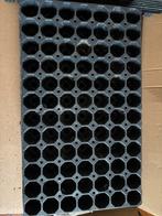 Stek en zaai trays, Tuin en Terras, Ophalen of Verzenden, Gebruikt, Kweekbak