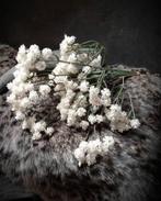 Gipskruid €5,99 per bosje, Ophalen of Verzenden, Nieuw