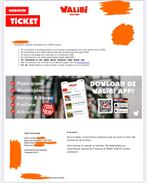 Walibi ticket 1 stuk (undated), Tickets en Kaartjes, Eén persoon, Overige soorten, Pretpark