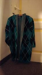 groene geruite sweater trui met capuchon, Ophalen of Verzenden, Zo goed als nieuw, Maat 38/40 (M), Groen