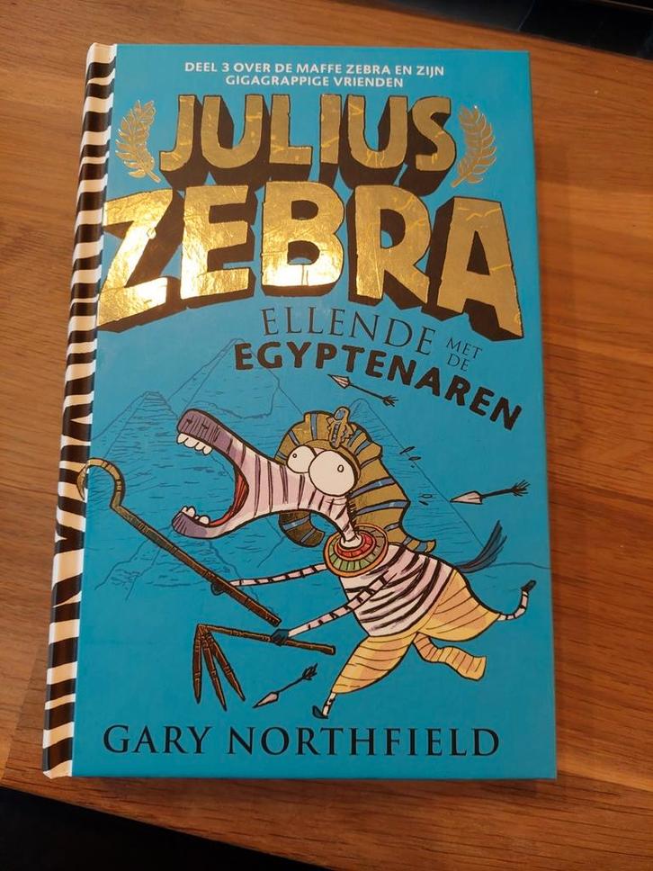 Gary Northfield - Ellende met de Egyptenaren, Boeken, Kinderboeken | Jeugd | onder 10 jaar, Zo goed als nieuw, Fictie algemeen