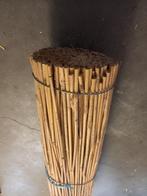 Bamboe stokken / Tonkinstokken, Nieuw, Overige typen, Minder dan 180 cm, Ophalen of Verzenden