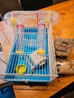 Gratis hamsterhok met toebehoren, Dieren en Toebehoren, Minder dan 75 cm, Zo goed als nieuw, Hok, Ophalen