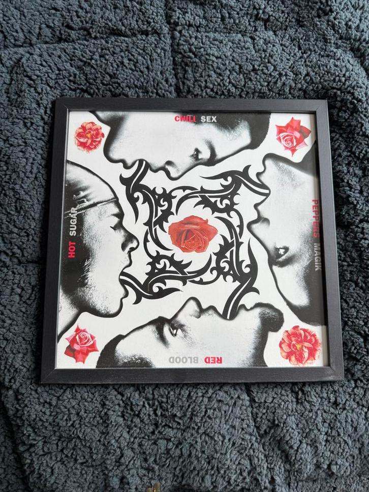 9 Vinyl Platen Lijsten, Huis en Inrichting, Woonaccessoires | Schilderijen, Tekeningen en Foto's, Gebruikt, Overige typen, Minder dan 50 cm