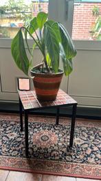 Vintage plantentafel, Huis en Inrichting, Tafels | Bijzettafels, 45 tot 60 cm, Minder dan 55 cm, Ophalen of Verzenden, Zo goed als nieuw