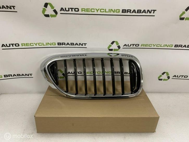 Grill Nier Rechts BMW 5 Serie G30 G31 M-PAKKET 51137390864, Auto-onderdelen, Carrosserie en Plaatwerk, BMW, Gebruikt, Ophalen of Verzenden