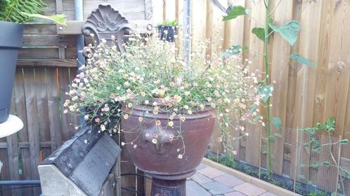 2 stuks Keramische potten heel zwaar 40 cm, Tuin en Terras, Bloempotten, Gebruikt, Aardewerk, Binnen, Balkon, Tuin, Minder dan 40 cm