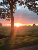 Te koop: ouxi~V8, Gebruikt, 59 cm of meer, 30 tot 50 km per accu, Ophalen