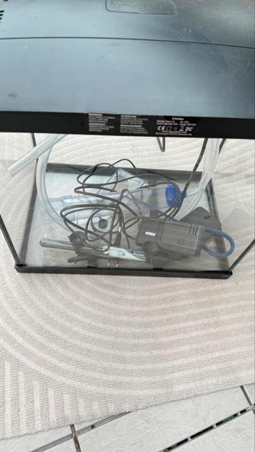 Complete zgan aquarieum van 40x60 cm beschikbaar voor biedingen