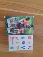 Natuur Kwartetspel - Leerzaam & Leuk!, Ophalen, Nieuw