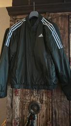 Adidas jas groen M, Ophalen of Verzenden, Zo goed als nieuw, Groen