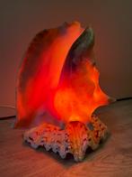 Vintage Schelplamp - Uniek Decoratiestuk, Antiek en Kunst, Antiek | Lampen, Ophalen of Verzenden