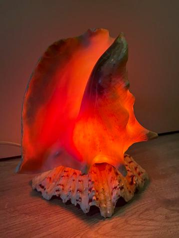 Vintage Schelplamp - Uniek Decoratiestuk beschikbaar voor biedingen