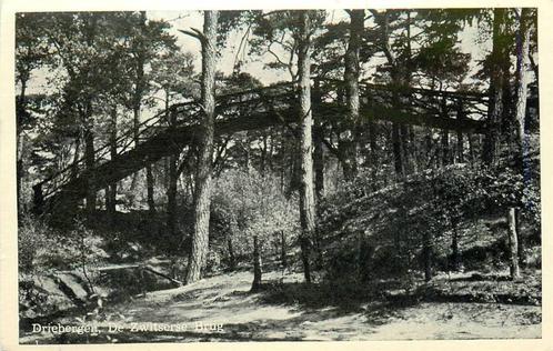 (388-408-043) Driebergen-Rijsenburg De Zwitserse Brug, Verzamelen, Ansichtkaarten | Nederland, Utrecht, Verzenden