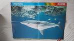 Gratis afhalen burgers zoo tijdschrift posters, Ophalen of Verzenden, A1 t/m A3, Dier of Natuur, Rechthoekig Staand