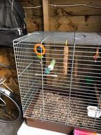 Gratis parkiet, Ophalen, Zo goed als nieuw, Metaal, Vogelkooi