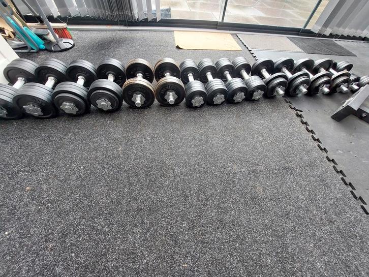 Verstelbare dumbells, Sport en Fitness, Fitnessmaterialen, Zo goed als nieuw, Dumbbell, Armen, Benen, Borst, Buik, Rug, Ophalen