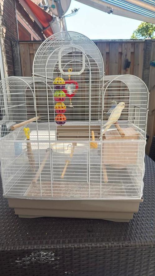Vogelkooi met 2 parkieten, Dieren en Toebehoren, Vogels | Hokken en Kooien, Zo goed als nieuw, Vogelkooi, Ophalen