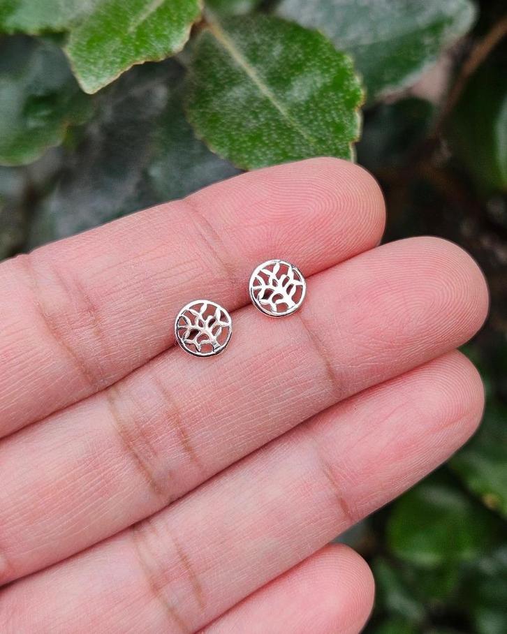 Levensboom Oorknoppen Ayla - Echt Zilver, Sieraden, Tassen en Uiterlijk, Oorbellen, Nieuw, Knopjes of Stekers, Zilver, Zilver