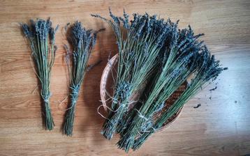 Bosje lavendel 50-52 steeltjes met bloem beschikbaar voor biedingen