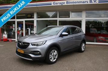 Opel GRANDLAND X 1.2 Turbo Business Executive, Cruise, Carpl beschikbaar voor biedingen