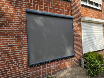rainbow beschikbaar voor biedingen