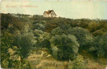 (300-139-007) Bloemendaal Het Kopje beschikbaar voor biedingen