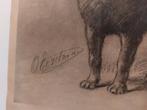 Prent Otto Eerelman Chow chow mopshond, Antiek en Kunst, Ophalen of Verzenden