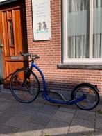Originele Kickbike in nieuwstaat (t.e.a.b.), Fietsen en Brommers, Ophalen of Verzenden, Zo goed als nieuw, Kickbike