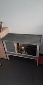 Konijn, Dieren en Toebehoren, Geslacht onbekend, Middelgroot, 0 tot 2 jaar