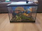 Aquarium compleet, Dieren en Toebehoren, Vissen | Aquaria en Toebehoren, Ophalen of Verzenden, Zo goed als nieuw, Leeg aquarium