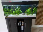 Juwel 180 liter te koop, Ophalen, Gebruikt, Leeg aquarium