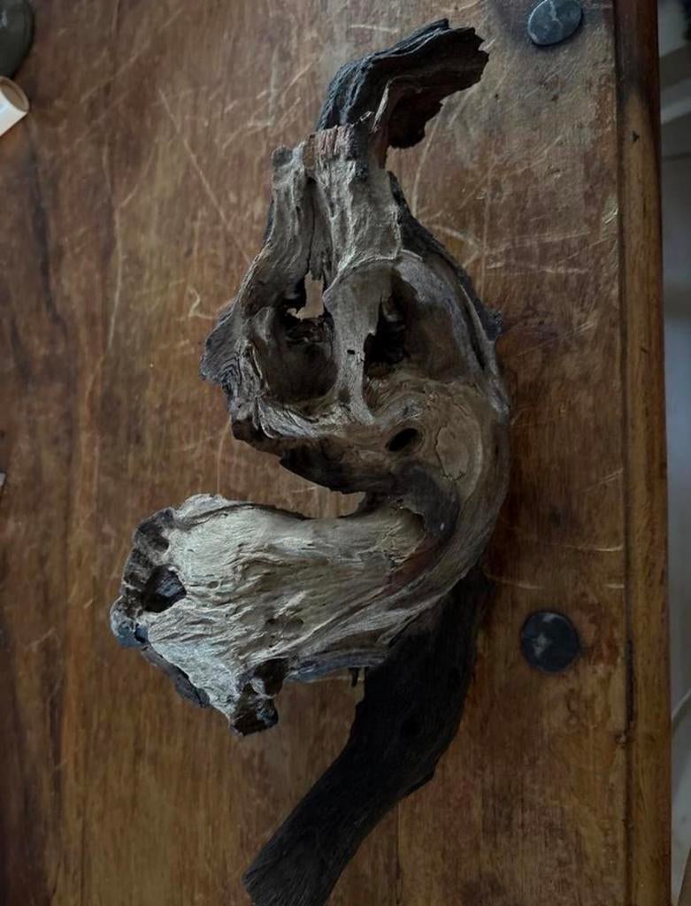 Uniek stuk drijfhout, Huis en Inrichting, Woonaccessoires | Wanddecoraties, Gebruikt, Ophalen of Verzenden
