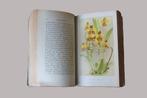 Zeldzaam botanisch boek 1893 - About Orchids: A chat, Gelezen, Frederick Boyle, Verzenden, Tuinieren en Tuinplanten