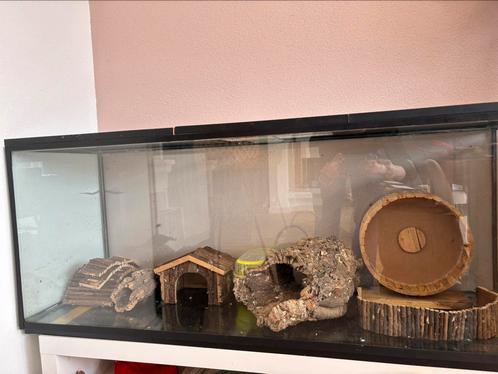 Hamsterhok van glas - hamsterscaping 130cm - inclusief alles, Dieren en Toebehoren, Knaagdieren en Konijnen | Hokken en Kooien