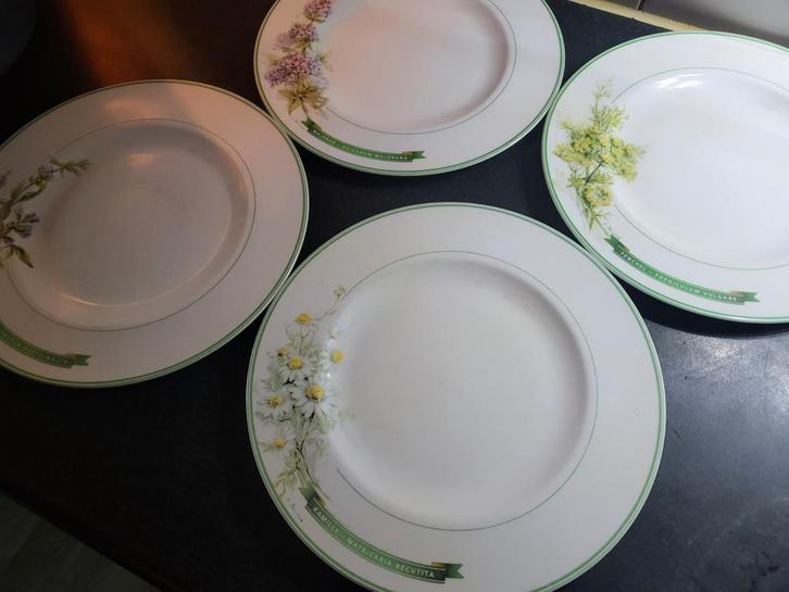 4 Villeroy & Boch Borden - Kräutergarten, Huis en Inrichting, Keuken | Servies, Zo goed als nieuw, Bord(en), Overige stijlen, Porselein