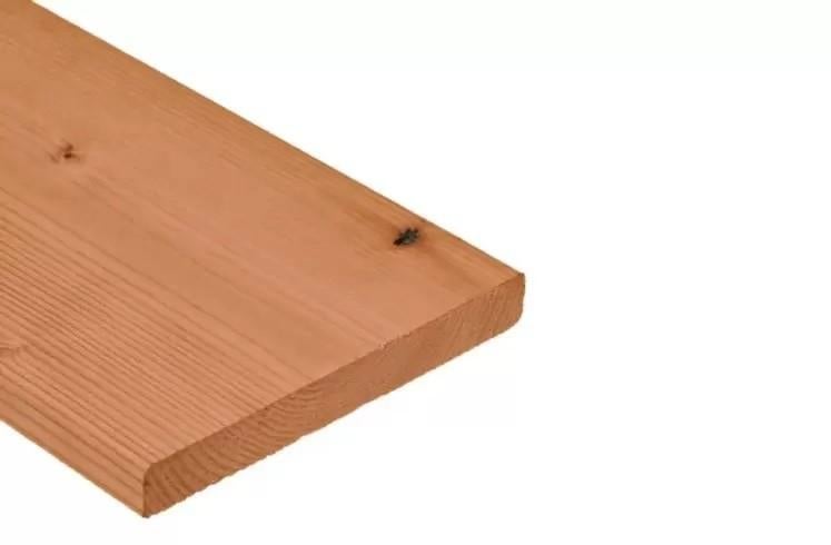 Douglas schuttingplank geschaafd, Ophalen of Verzenden, Nieuw, 250 cm of meer, Balken