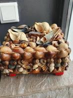Heel mooi antiek houten schelpen doosje of kistje, Antiek en Kunst, Ophalen of Verzenden