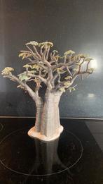 Schleich Afrika: Baobab Boom Compleet 30655, Ophalen of Verzenden, Zo goed als nieuw, Paard, Beeldje of Figuurtje