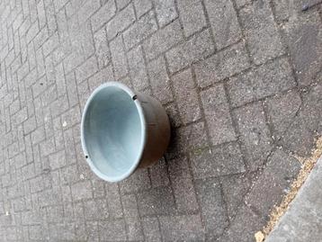 Kalverdrinkschaaltjes te koop!  beschikbaar voor biedingen